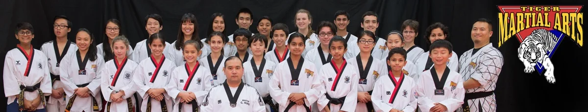 Tiger Martial Arts academy logo