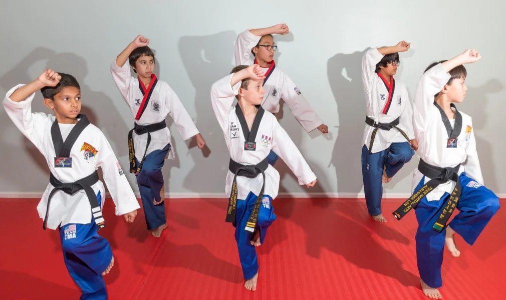 Tiger Martial Arts facility image