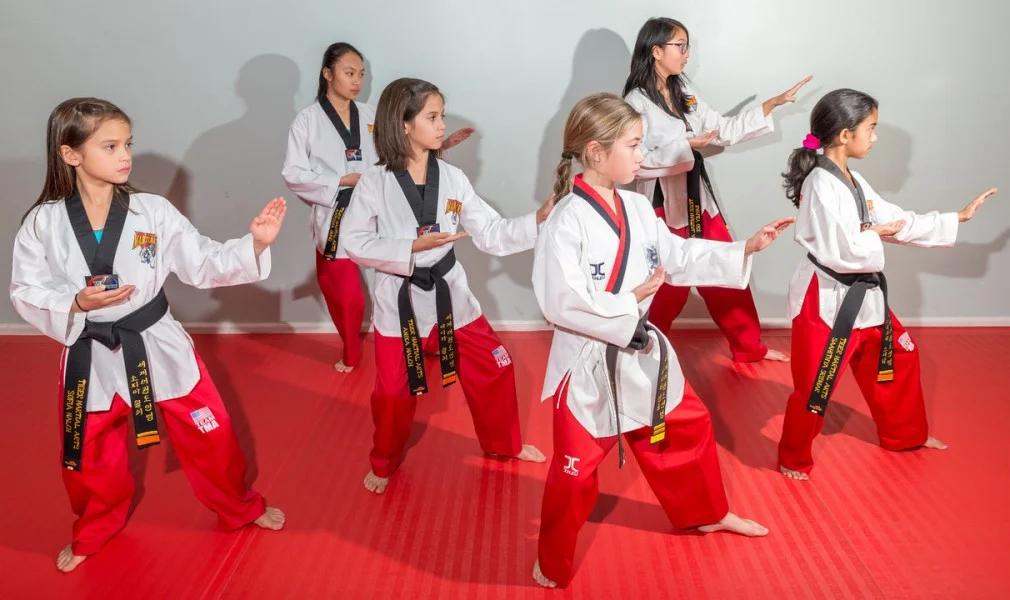 Tiger Martial Arts facility image