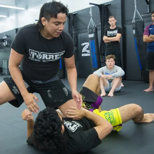 Torres Martial Arts Academy academy photo