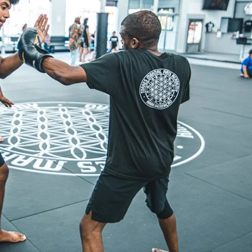 Torres Martial Arts Academy academy photo