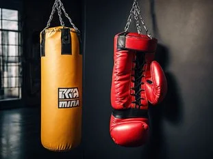 Immortal Mixed Martial Arts facility image
