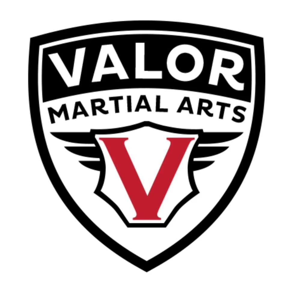 Valor Martial Arts academy logo