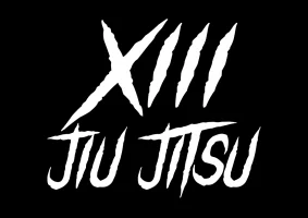 13 Jiu Jitsu academy logo