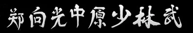 Central Shaolin Martial Arts academy photo