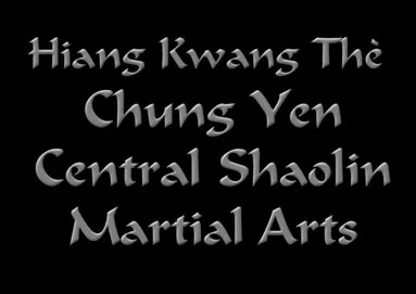 Central Shaolin Martial Arts academy logo