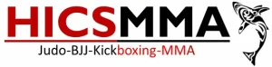 HICSMMA (High Intensity Combat Sports Mixed Martial Arts) visual