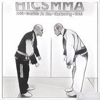 HICSMMA (High Intensity Combat Sports Mixed Martial Arts) academy photo