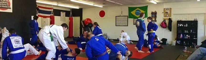 Hidden Samurai MMA academy logo