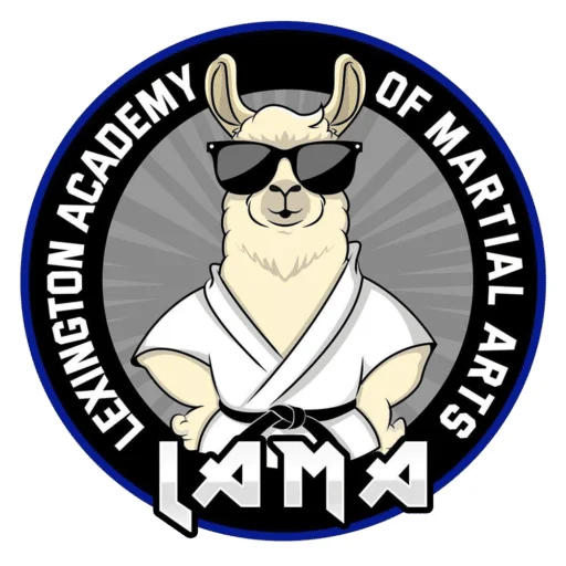 Lexington Academy of Martial Arts academy photo