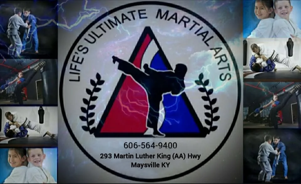 Life's Ultimate Martial Arts Academy academy logo