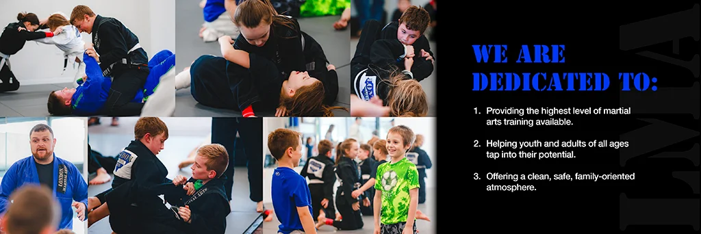 London Martial Arts academy photo