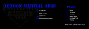 London Martial Arts academy photo