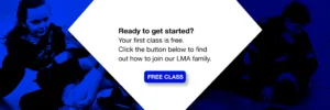 London Martial Arts academy photo