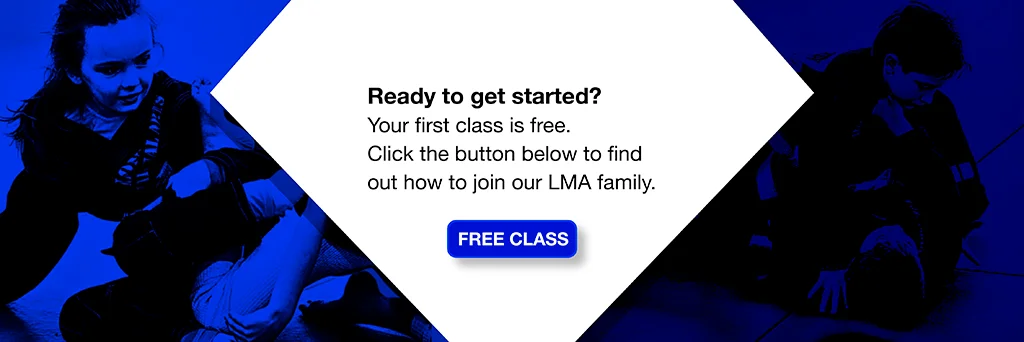 London Martial Arts academy photo