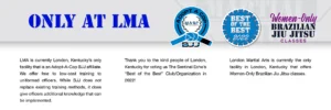 London Martial Arts academy photo