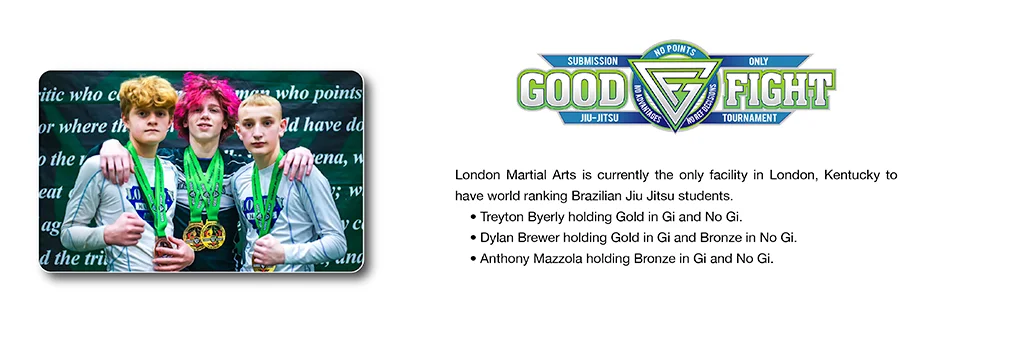 London Martial Arts academy photo