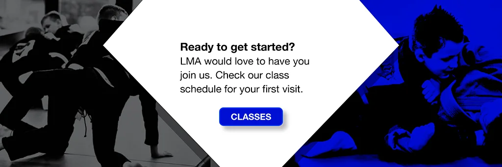London Martial Arts academy photo
