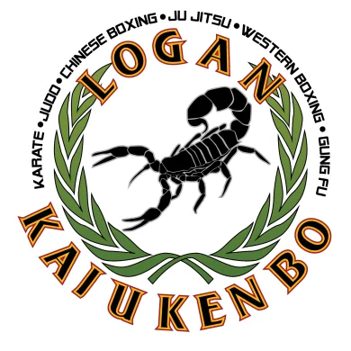 Triple Threat Martial Arts academy photo