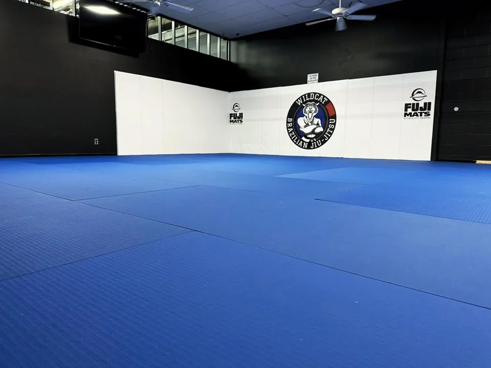 Wildcat Jiu-Jitsu academy photo