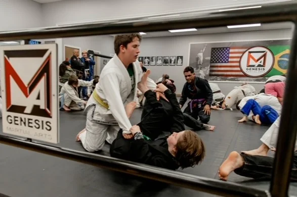Genesis Martial Arts, L.L.C. facility image