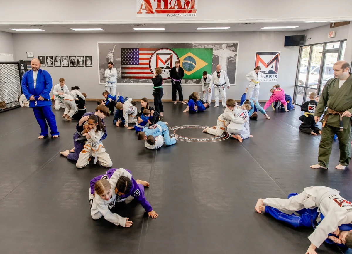 Genesis Martial Arts, L.L.C. facility image