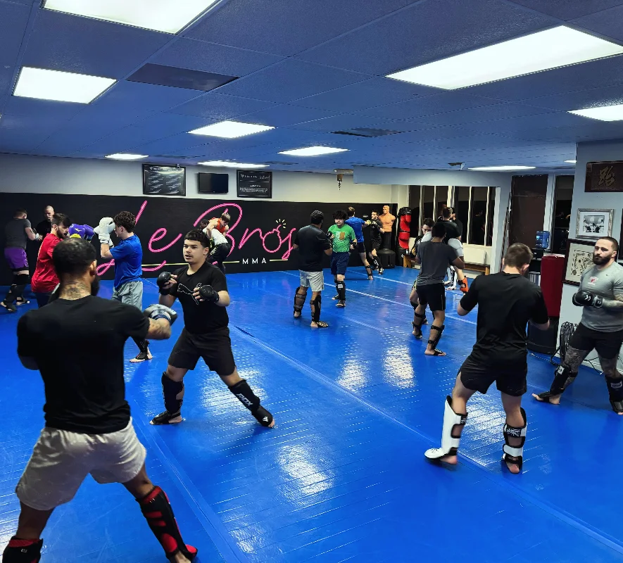 LeBros MMA by Thanh Le facility image