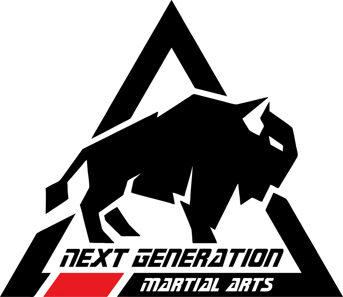 Next Generation Martial Arts In Thibodaux academy photo