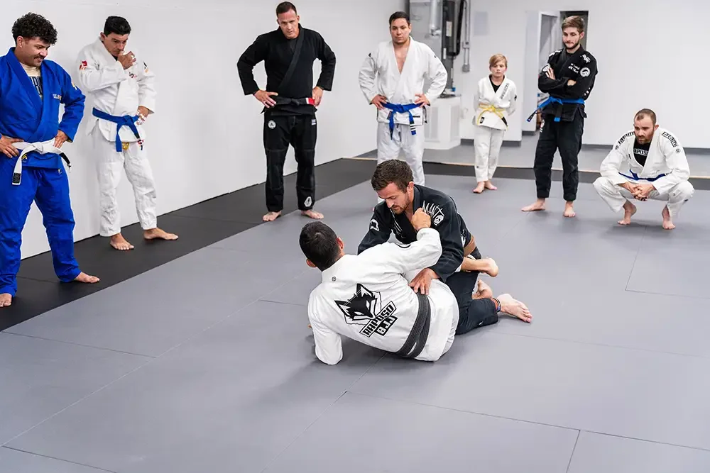 Raposo BJJ Academy facility image