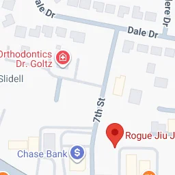Rogue Jiu Jitsu academy logo