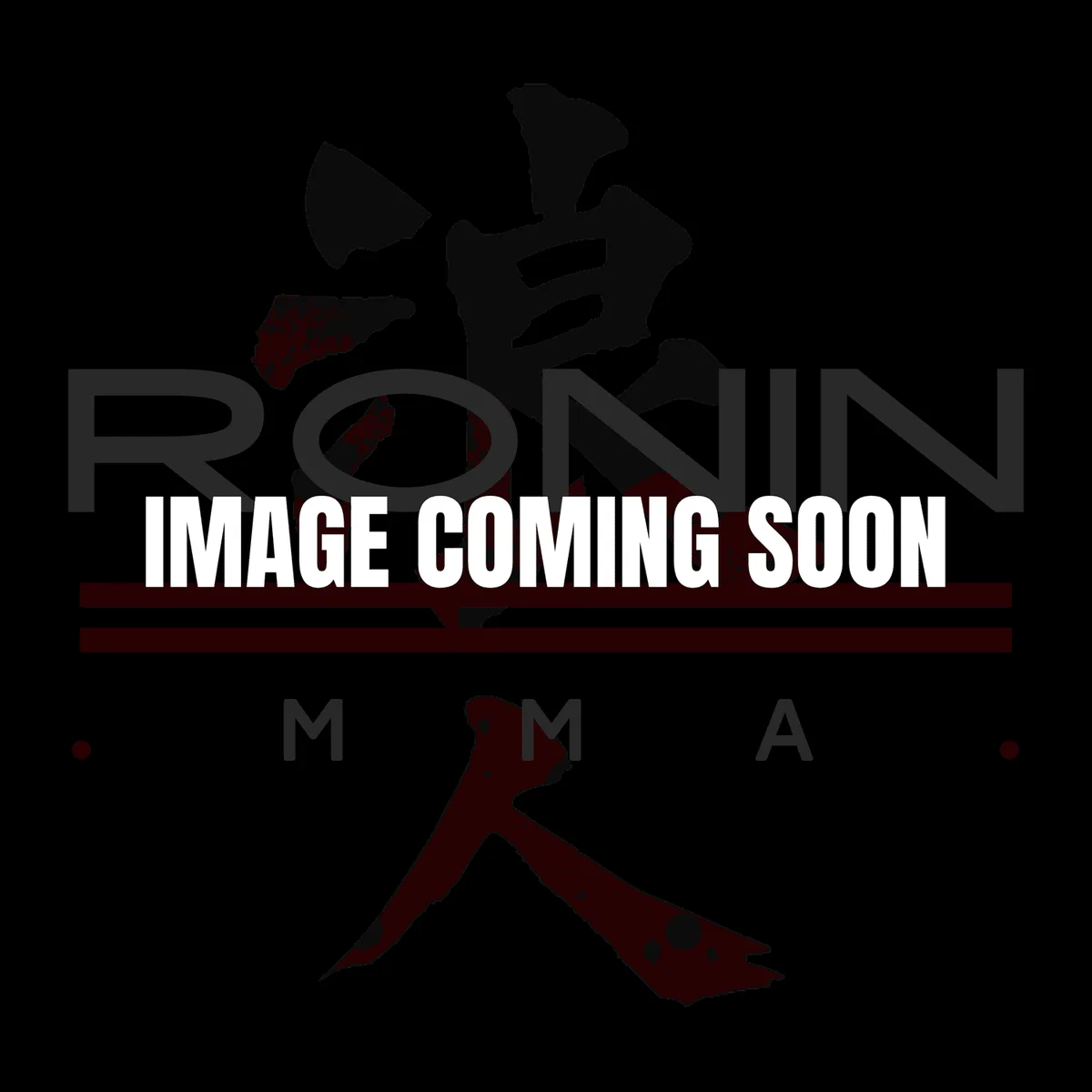Ronin Martial Arts & Fitness facility image