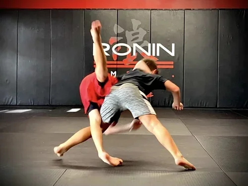 Ronin Martial Arts & Fitness facility image