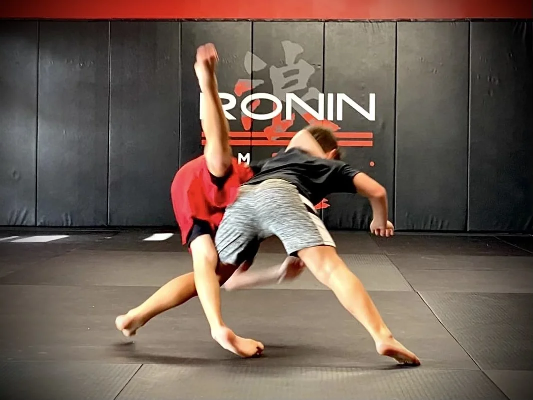Ronin Martial Arts & Fitness facility image
