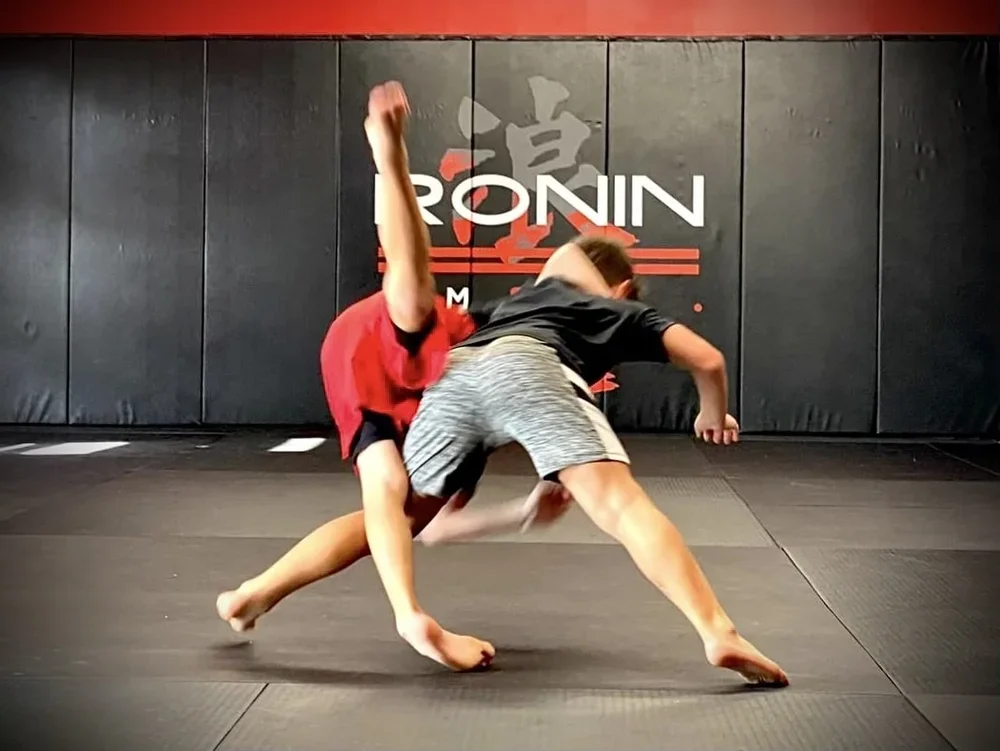 Ronin Martial Arts & Fitness facility image