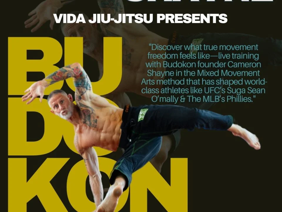 Vida Jiu-Jitsu facility image