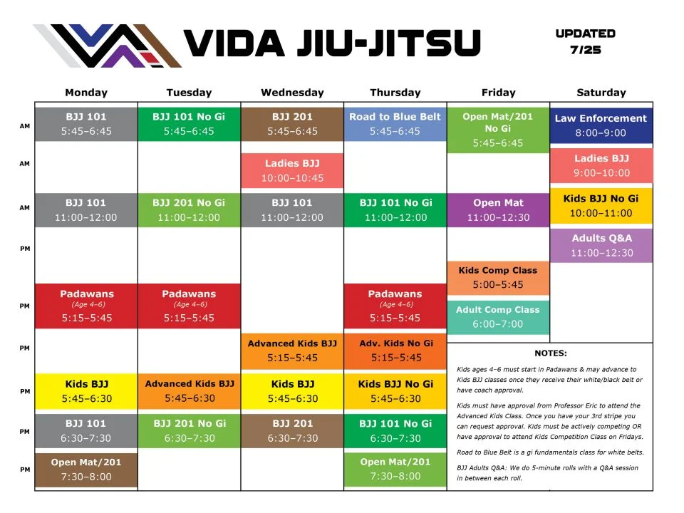 Vida Jiu-Jitsu facility image
