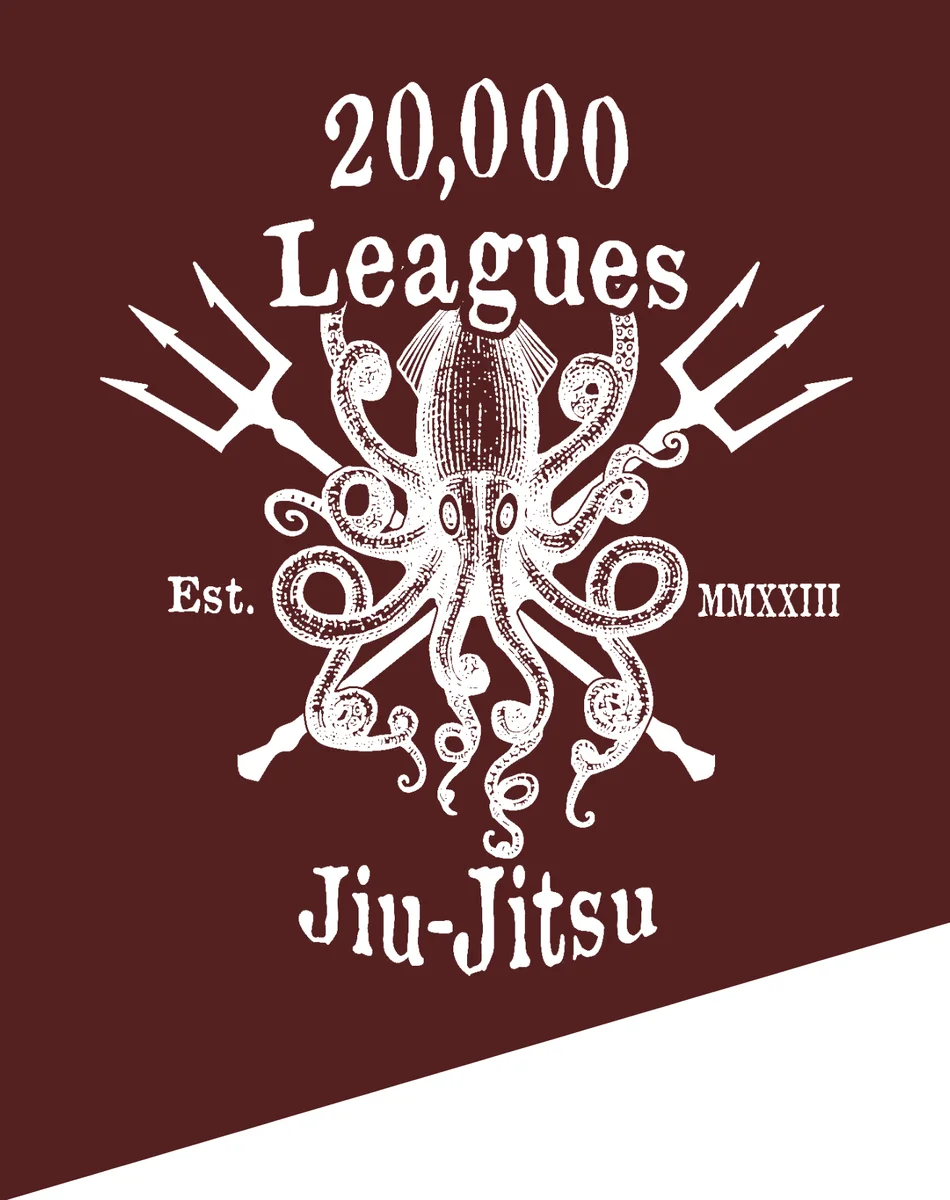 20,000 Leagues Jiu Jitsu (North Shore's Best BJJ) academy photo