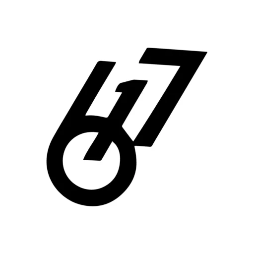 617 BJJ academy logo