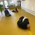 Evolve Jiu Jitsu Academy academy photo