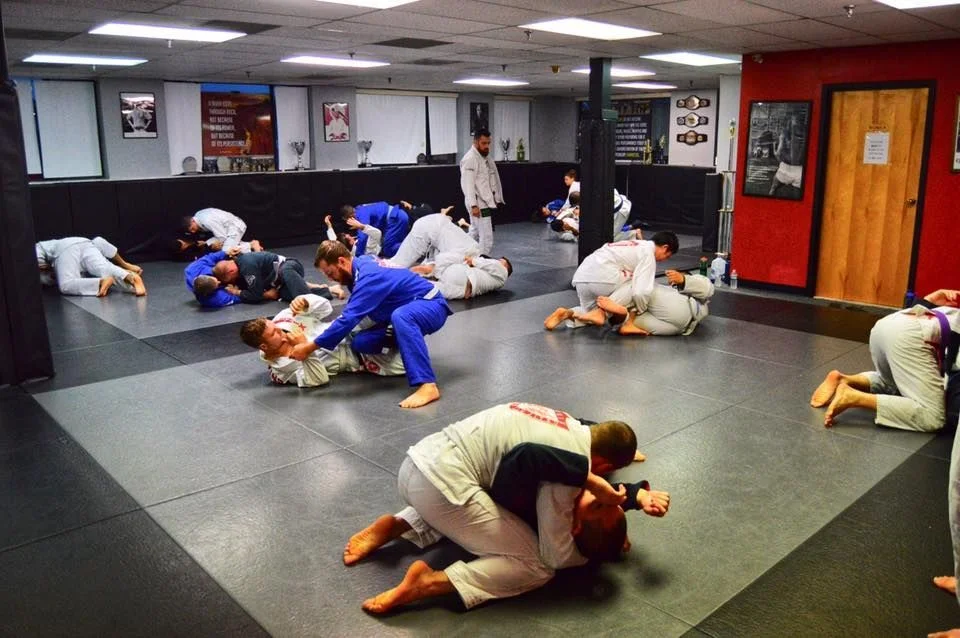 Fenix Brazilian Jiu Jitsu visual