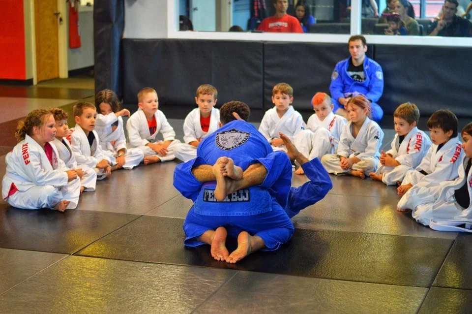 Fenix Brazilian Jiu Jitsu facility image