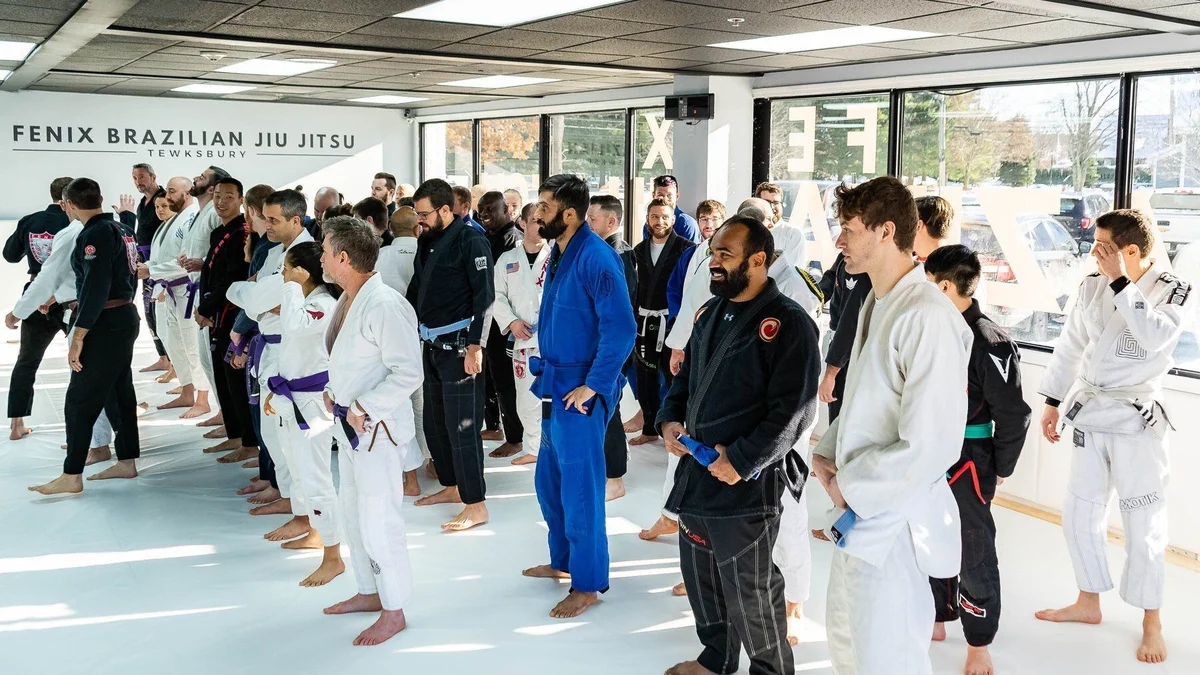 Fenix Brazilian Jiu Jitsu academy logo
