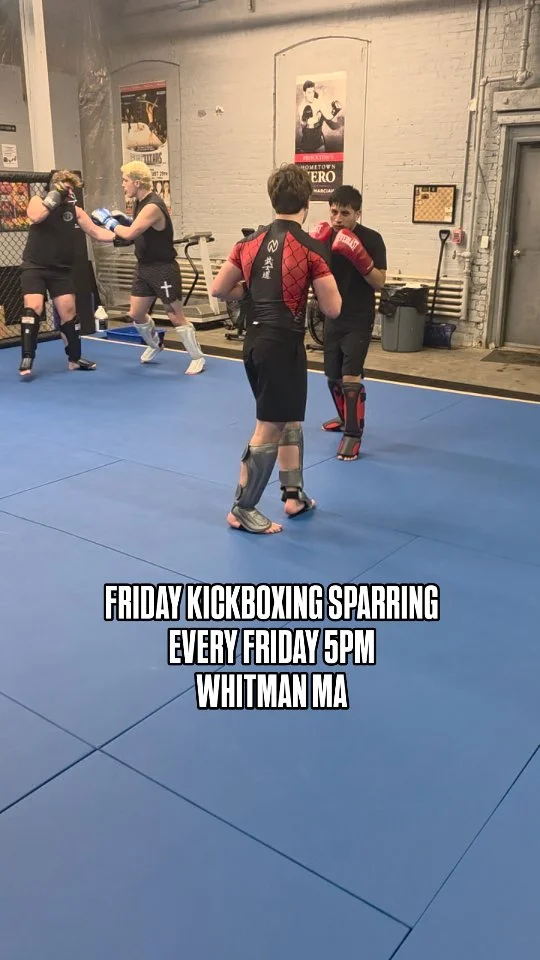 Giannetti Martial Arts academy photo