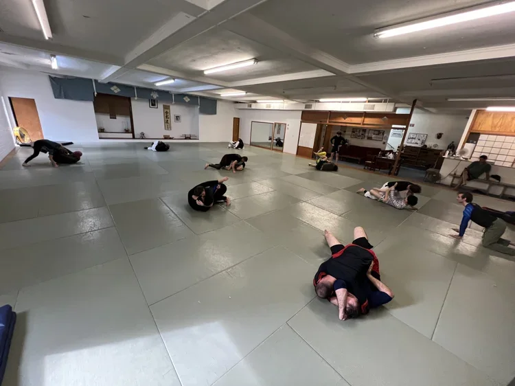 Ginsberg Academy of BJJ and MMA academy photo