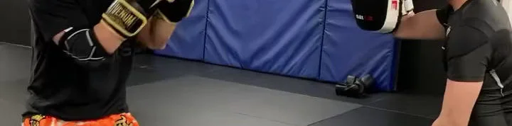 Gorilla Martial Arts academy photo