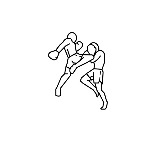Gorilla Martial Arts academy photo