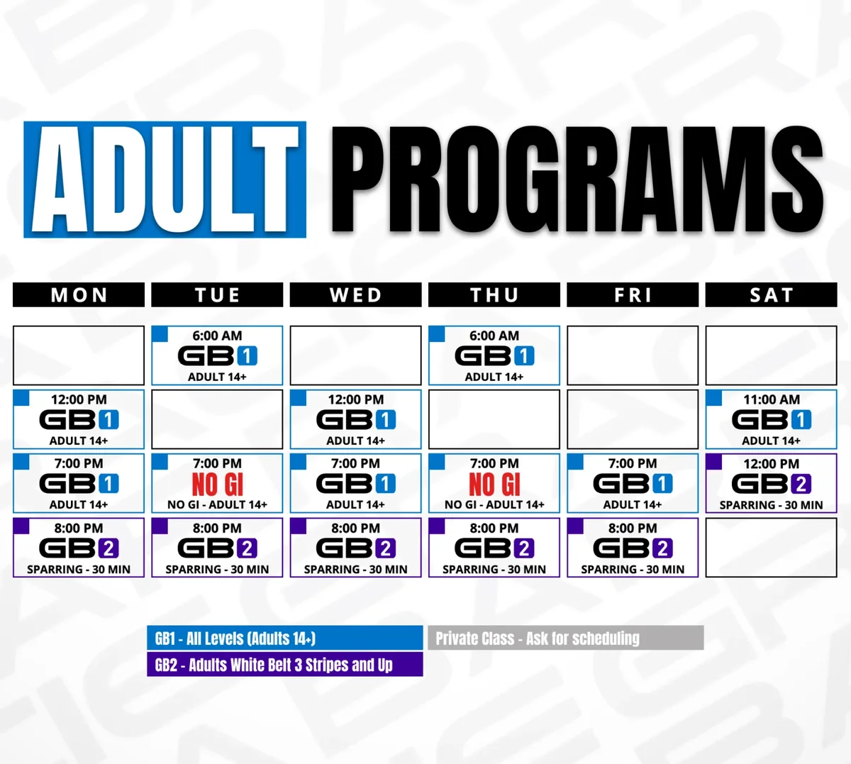 Gracie Barra Andover academy photo