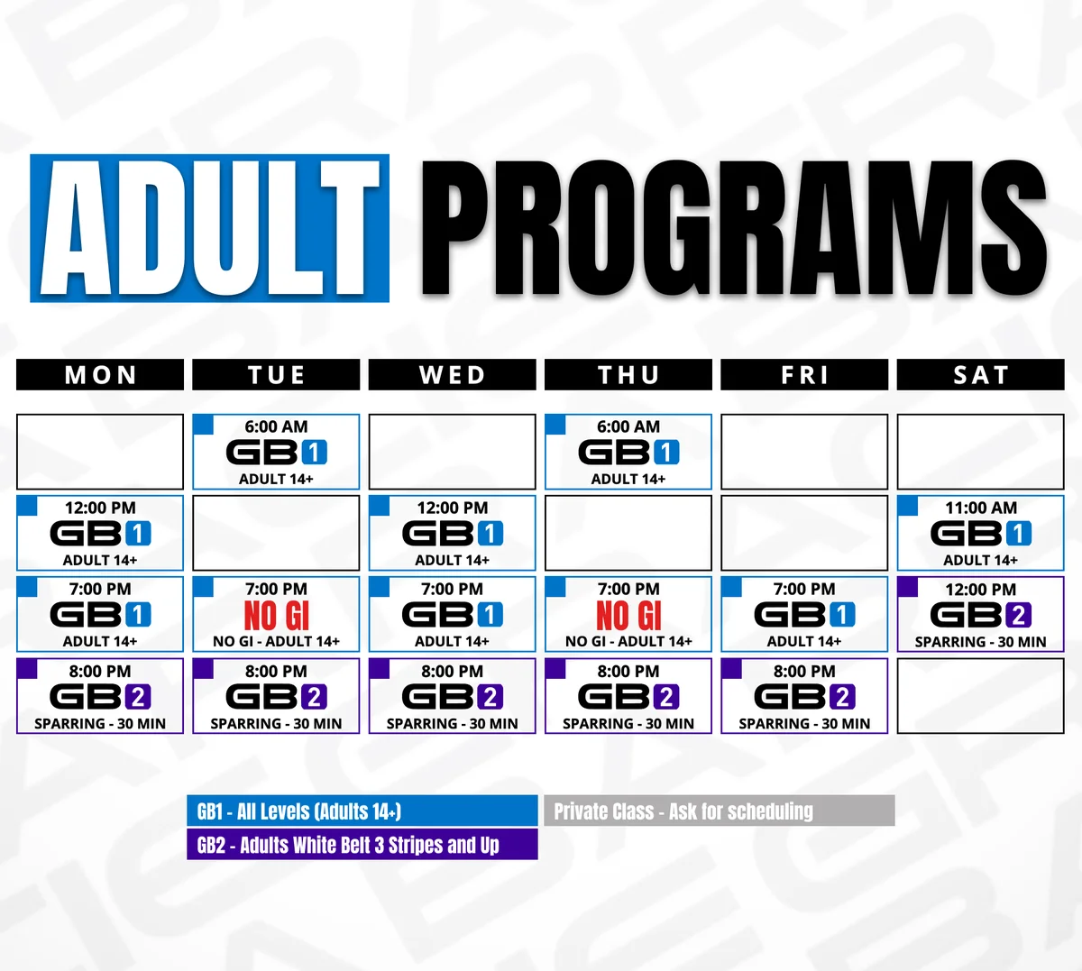 Gracie Barra Andover academy photo