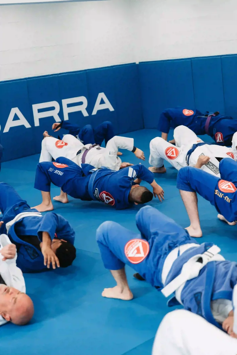 Gracie Barra Andover academy photo