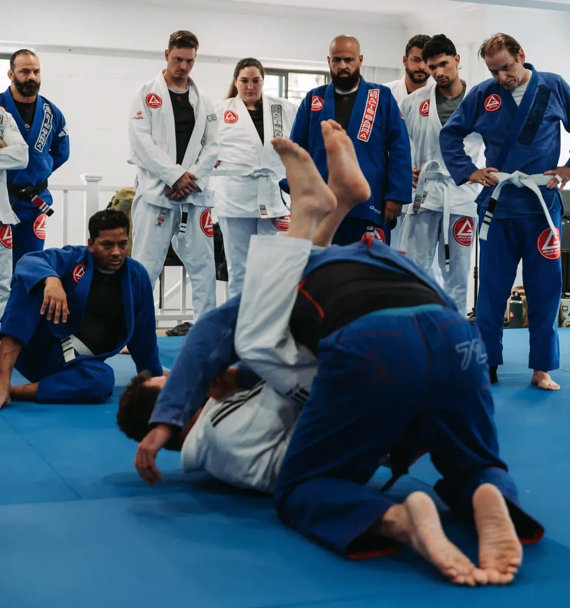 Gracie Barra Andover academy photo